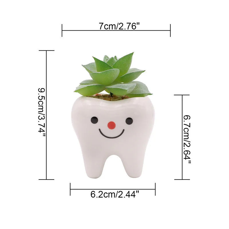 MolarBloom Planter - Dental Tooth Shape Flower Vase