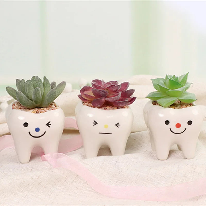 MolarBloom Planter - Dental Tooth Shape Flower Vase
