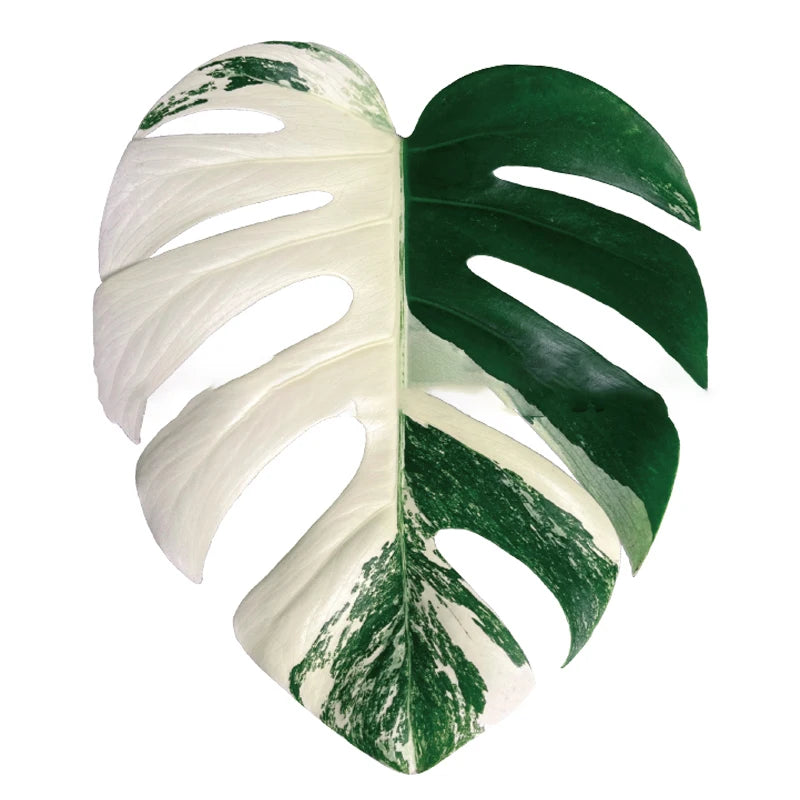 GreenGrip – Universal Leafy Phone Grip