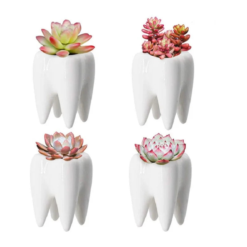 MolarBloom Planter - Dental Tooth Shape Flower Vase