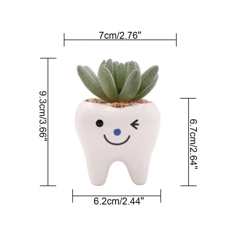 MolarBloom Planter - Dental Tooth Shape Flower Vase