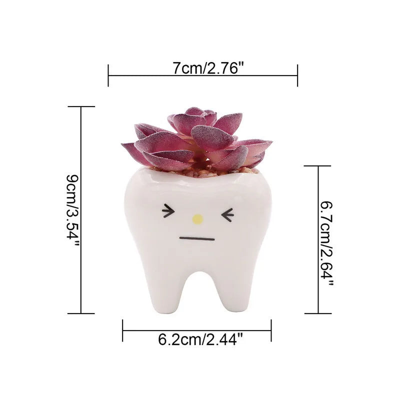 MolarBloom Planter - Dental Tooth Shape Flower Vase