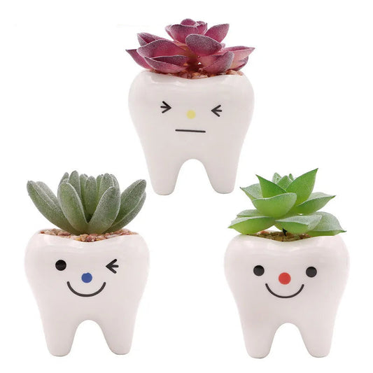 MolarBloom Planter - Dental Tooth Shape Flower Vase