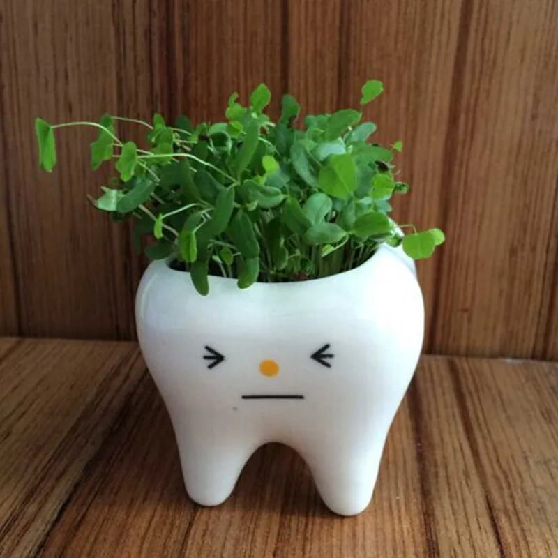 MolarBloom Planter - Dental Tooth Shape Flower Vase