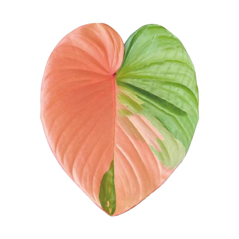 GreenGrip – Universal Leafy Phone Grip