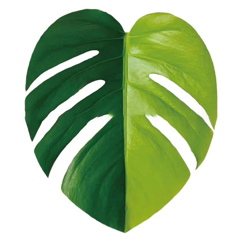 GreenGrip – Universal Leafy Phone Grip