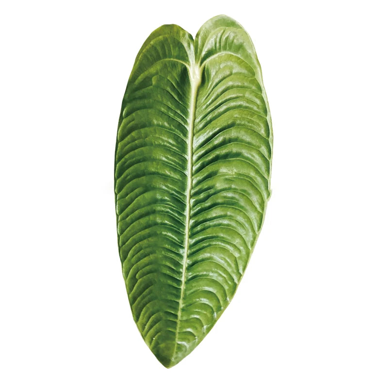 GreenGrip – Universal Leafy Phone Grip